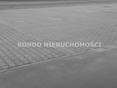 Zdjęcie 15285901