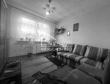 Zdjęcie 15286436