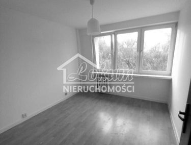 Zdjęcie 15286450