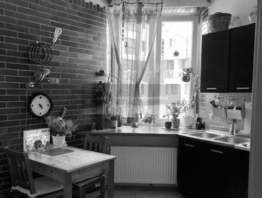 Zdjęcie 15287524