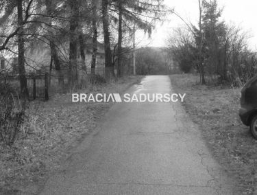 Zdjęcie 15287946