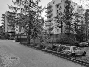 Zdjęcie 15288492