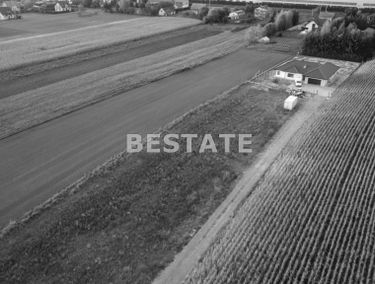 Zdjęcie 15288823