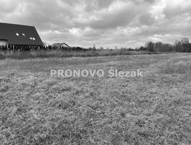 Zdjęcie 15289103
