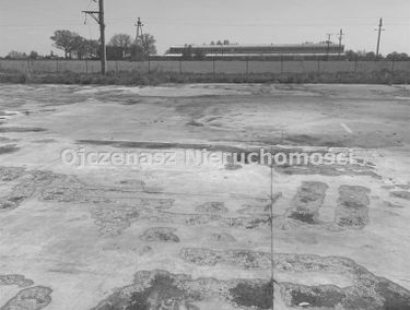 Zdjęcie 15289381
