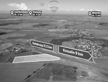 Zdjęcie 15289409