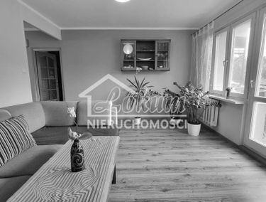 Zdjęcie 15289416