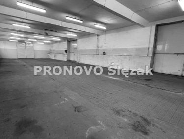 Zdjęcie 15290026