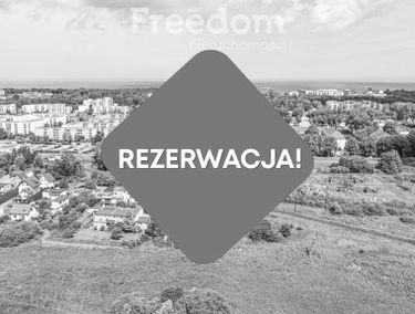Zdjęcie 15290404