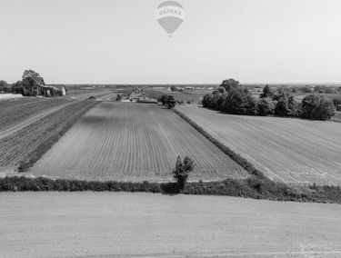 Zdjęcie 15290828
