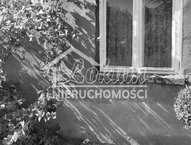 Zdjęcie 15291063