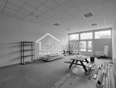 Zdjęcie 15291462