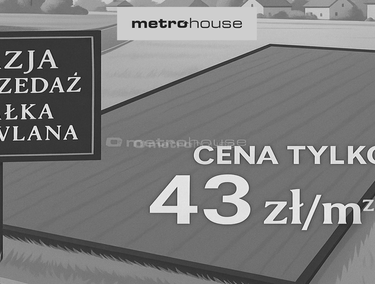 Zdjęcie 15291942
