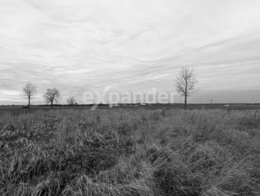 Zdjęcie 15292096