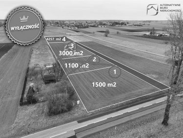 Zdjęcie 15292207