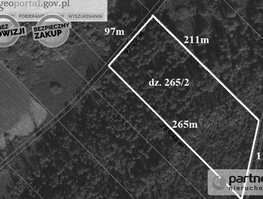 Zdjęcie 15292995