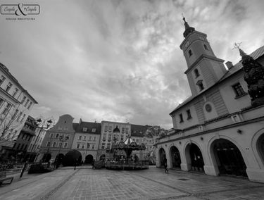 Zdjęcie 15293033