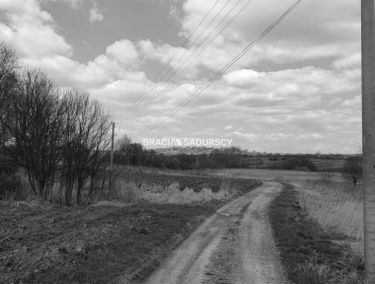 Zdjęcie 15293100