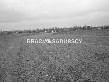 Zdjęcie 15293249