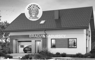 Zdjęcie 15293548