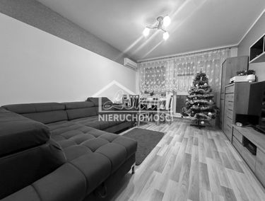 Zdjęcie 15293713