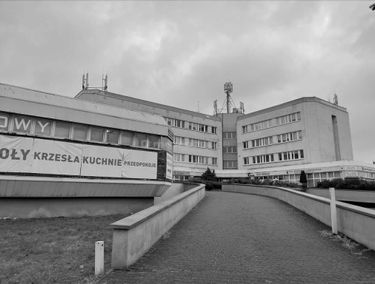 Zdjęcie 15294006