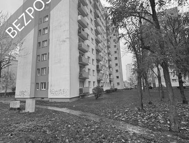 Zdjęcie 15294010