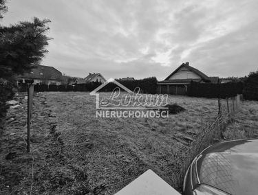 Zdjęcie 15294350