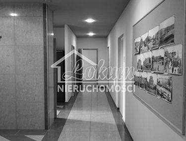 Zdjęcie 15295448