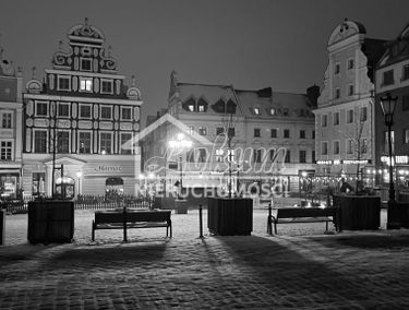 Zdjęcie 15295572