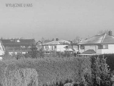 Zdjęcie 15296068