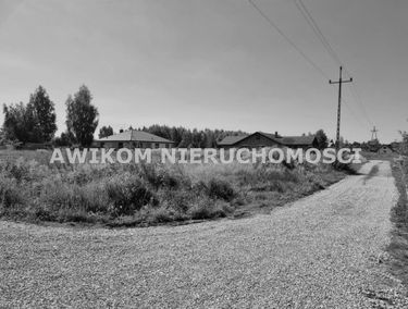 Zdjęcie 15296096