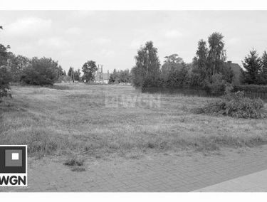Zdjęcie 15297044