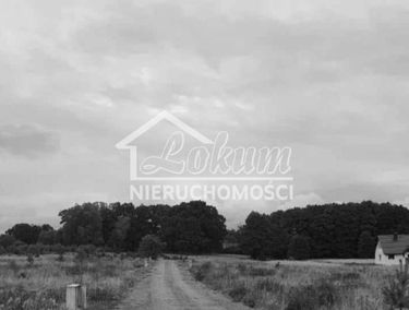 Zdjęcie 15297812