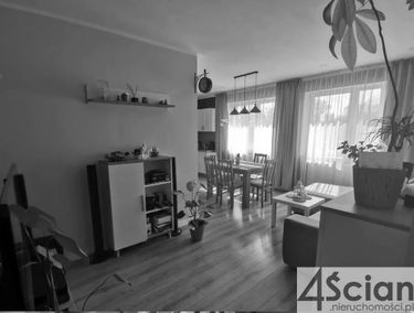 Zdjęcie 15298092