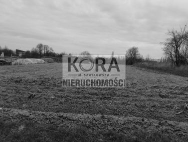 Zdjęcie 15298917