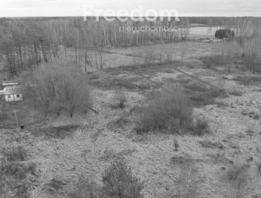 Zdjęcie 15300178