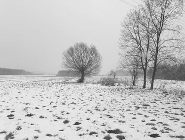 Zdjęcie 15300227