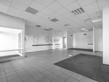 Zdjęcie 15301564