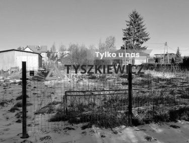 Zdjęcie 15301623