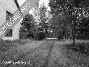 Zdjęcie 15301760