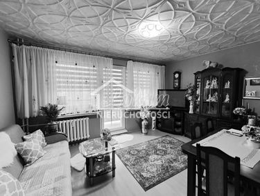 Zdjęcie 15301953