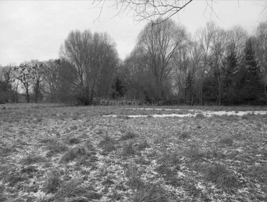 Zdjęcie 15302003