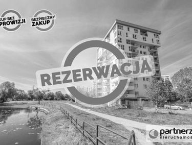 Zdjęcie 15302463