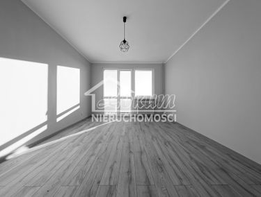 Zdjęcie 15302786