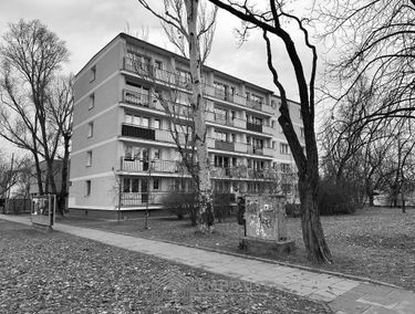 Zdjęcie 15302987