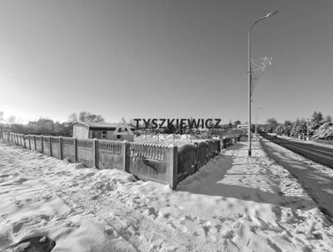 Zdjęcie 15303155