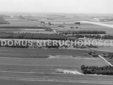 Zdjęcie 15303640