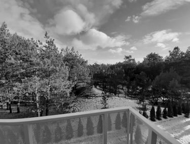 Zdjęcie 15304113