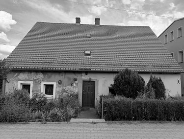 Zdjęcie 15304142